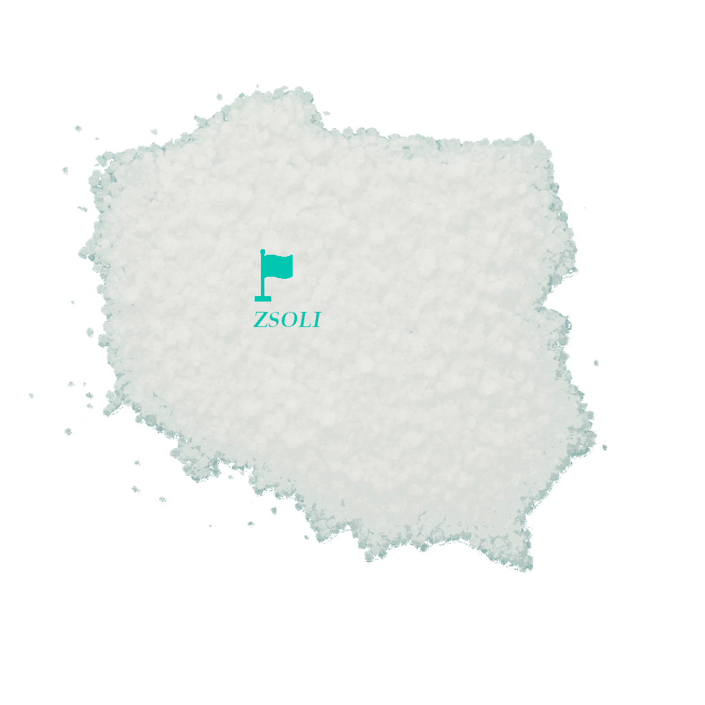 Polski producent soli